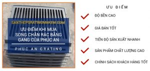 song chắn rác bằng gang