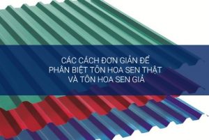 Tôn Hoa sen