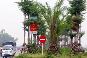 đường trục nam hà nội