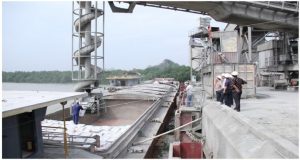 duy trì điểm sáng của ngành xi măng 2019